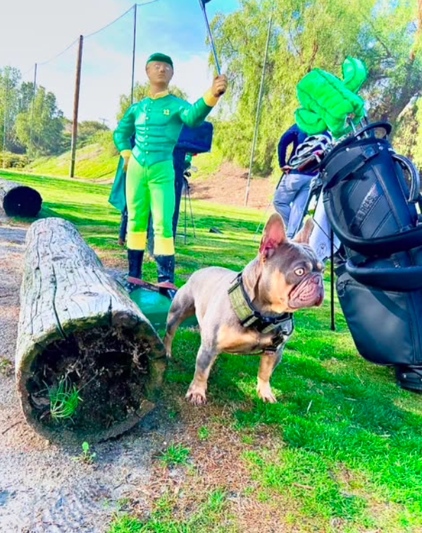 Course Day — Lilac boy on the green